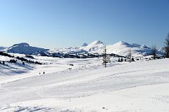 07E Citadel Peak, Mount Assiniboine, Quartz Hill, Simpson Ridge From Top Of Strawberry Chair At Banff Sunshine Ski Area.jpg